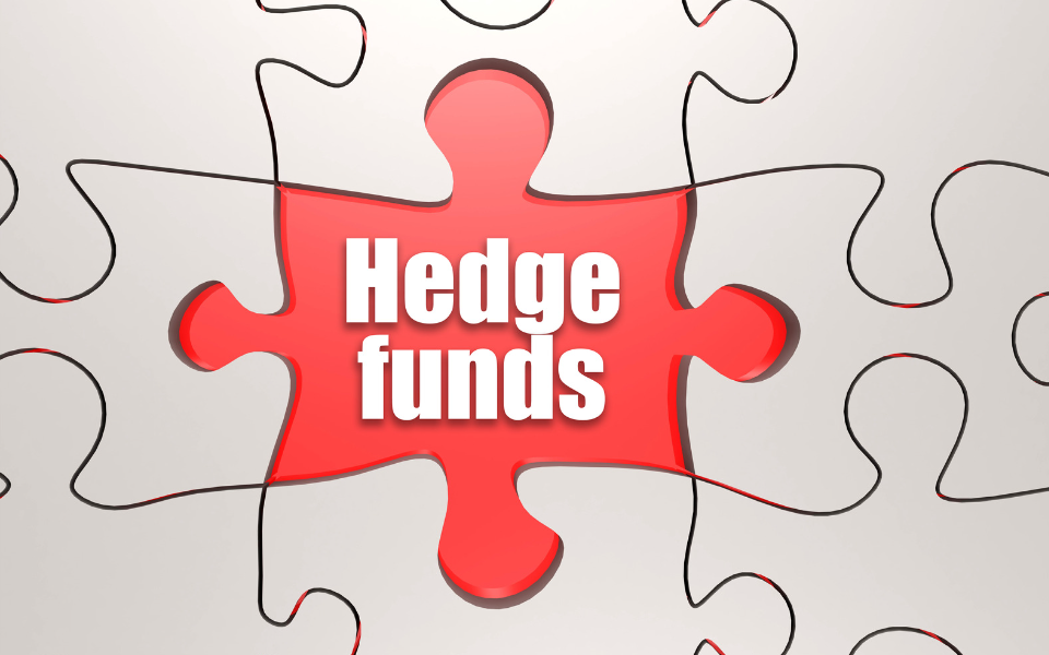 hedge fund