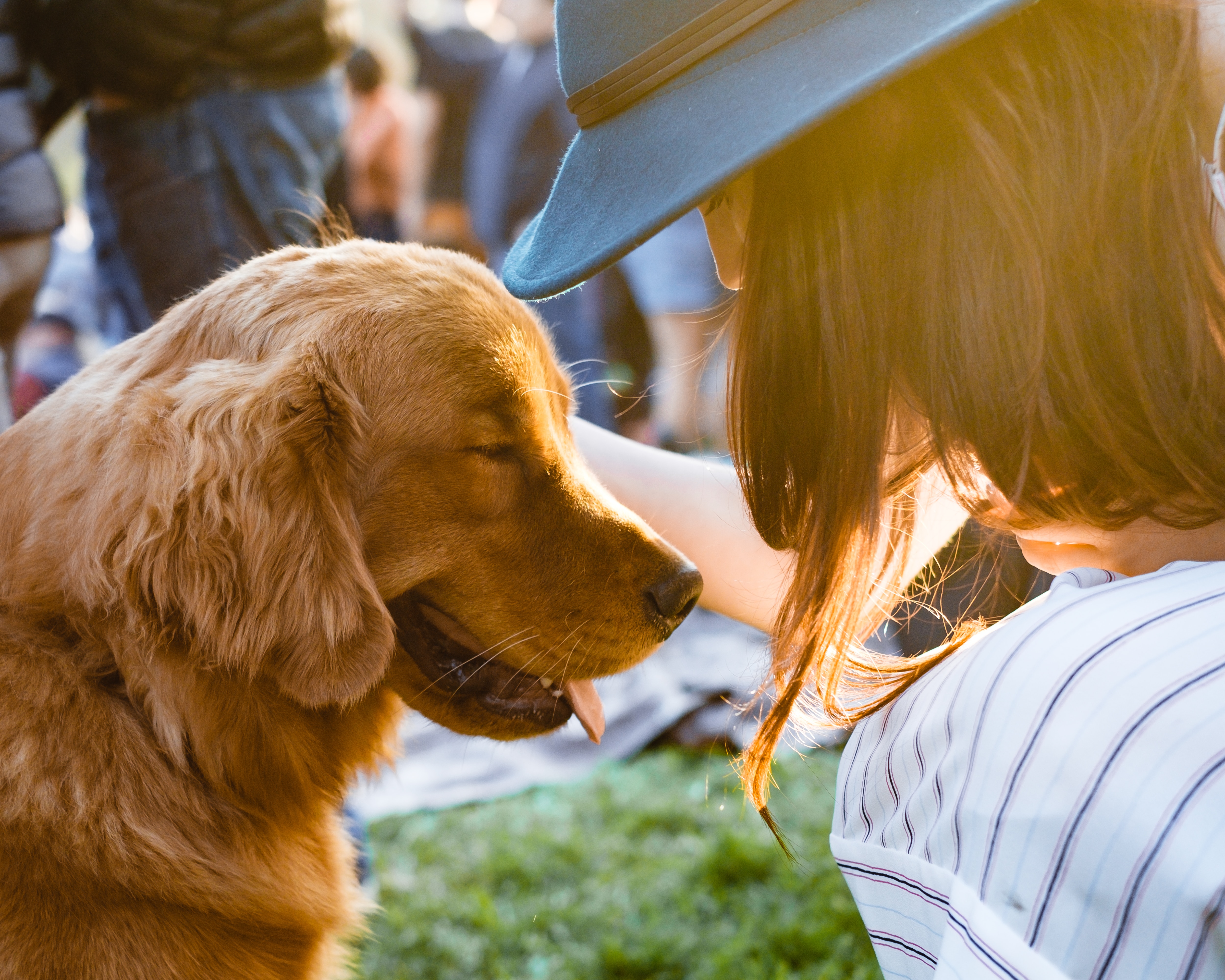 dog and owner