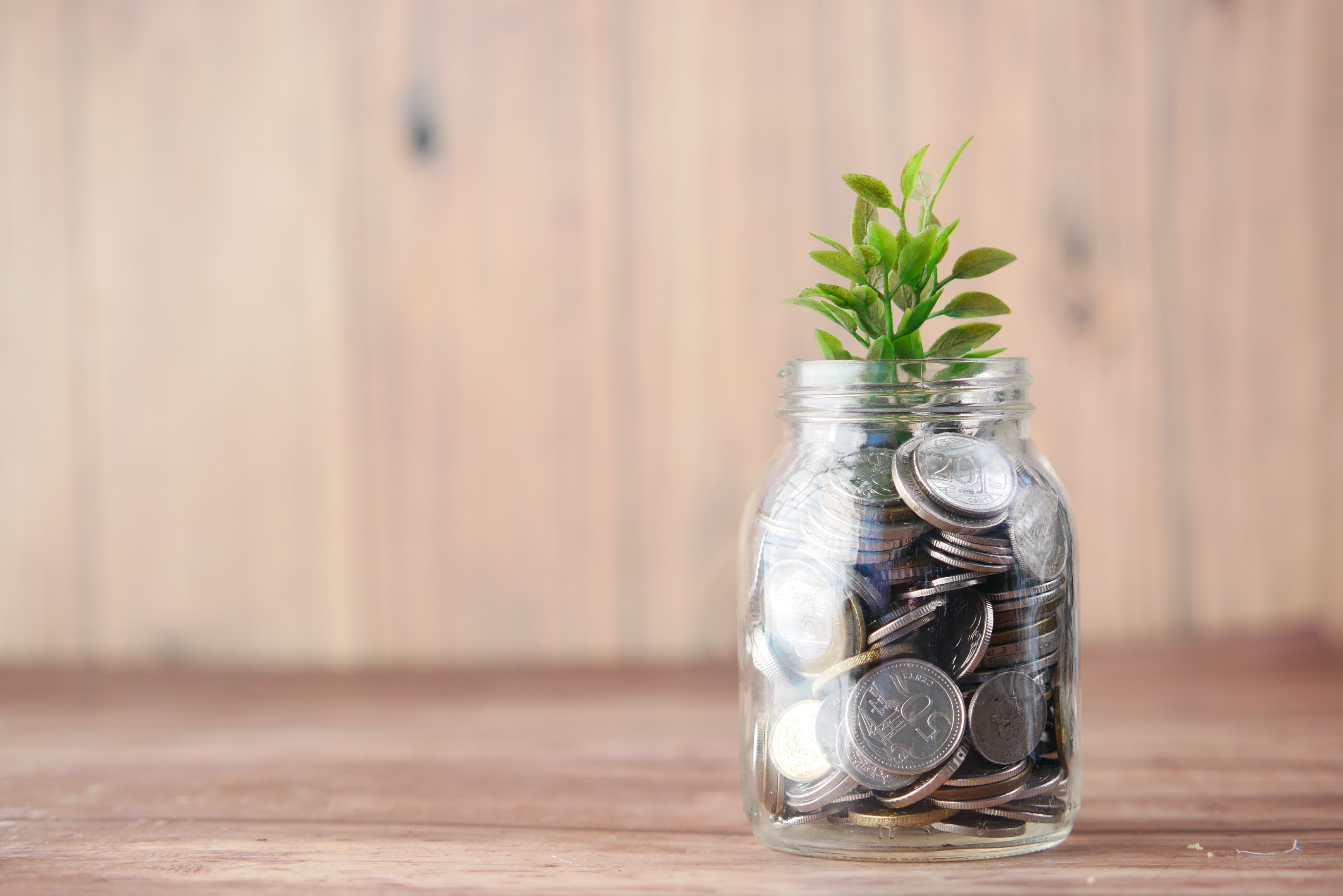 wealth, coins in a jar